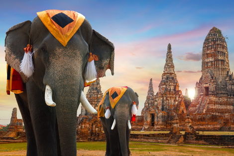 Thailande-Bangkok, Circuit Les Essentiels de la Thaïlande & farniente à Koh Samui au Samui Palm Beach 4*