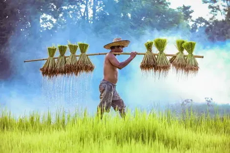 Thailande-Bangkok, Circuit Les Essentiels de la Thaïlande & farniente au Nature Phuket 5*