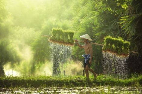 Thailande-Bangkok, Circuit Les Essentiels de la Thaïlande & farniente au Nature Phuket 5*