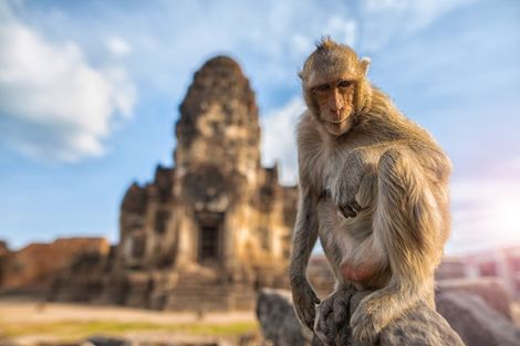 Thailande-Bangkok, Circuit Les Essentiels de la Thaïlande & farniente à Koh Samui au Celes Beachfront 4* sup