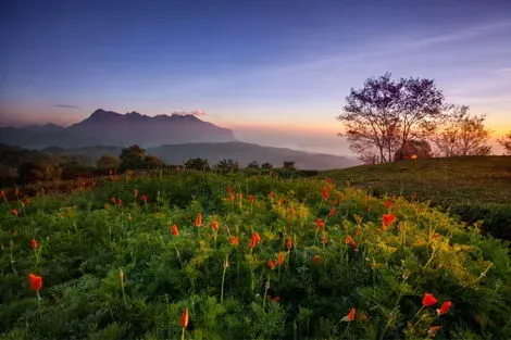 Thailande : Circuit Des Temples Khmers aux plages de Krabi