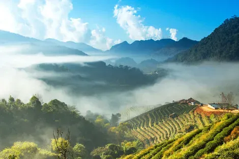 vol+hotel Circuit Merveilleuse Thaïlande en privatif + extension Sud de la Thaïlande Thailande Bangkok