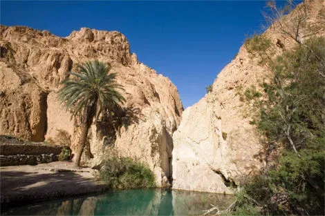 Tunisie-Djerba, Circuit De Djerba à Tozeur : entre plage et désert