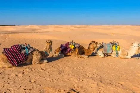 Tunisie-Djerba, Circuit Aventure 4X4 Entre Oasis Et Ksour 4*