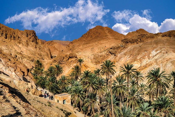 Tunisie : Circuit La Rose des Sables, à la découverte du grand Sud de la Tunisie