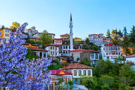 vol+hotel Circuit Sites enchanteurs de la Turquie de l'Est Turquie Istanbul