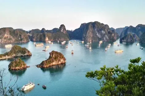 Vietnam : Circuit Lotus du Vietnam et Delta du Mékong