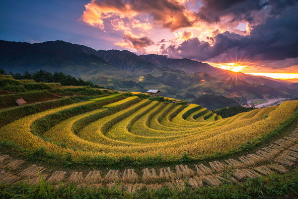 Vietnam : Circuit Vietnam