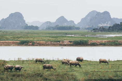 Vietnam-Hanoi, Circuit Vietnam Insolite
