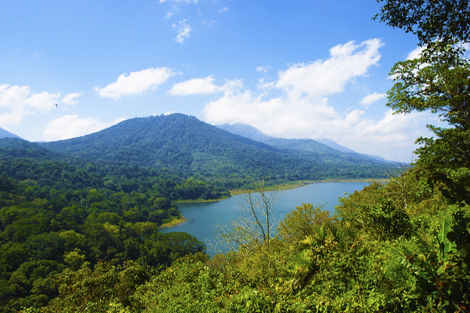 Bali Bali
