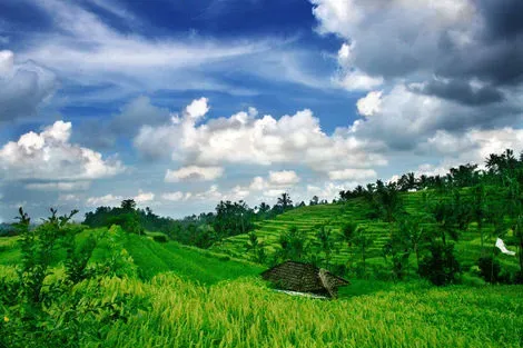 Bali-Denpasar, Combiné hôtels - Bali, l'île des Dieux et ses plages 3*