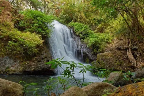 Costa Rica : Combiné circuit et hôtel Entre Jungles et Forêts du Costa Rica & Tortuguero (petit groupe) + extension Playa Samara