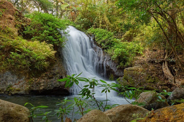 Costa Rica : Combiné circuit et hôtel Entre Jungles et Forêts du Costa Rica (petit groupe) + extension Playa Tambor