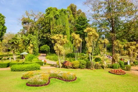 Dubai et les Emirats : Combiné circuit et hôtel Riu Dubai 4* + Sri Lanka : L'Ile Merveilleuse 3* - 7 nuits