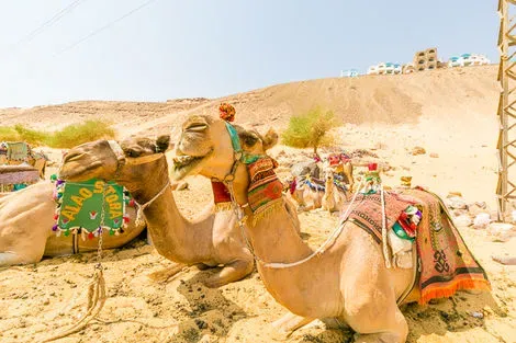 vol+hotel Combiné Framissima Croisière Gloire des pharaons à bord du Framissima Monica 5* et extension au Framissima Swiss Inn Resort 5* Egypte Louxor