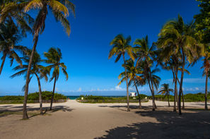Etats-Unis-New York, Combiné hôtels New York & Miami 4*