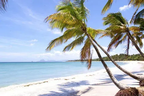 Guadeloupe-Pointe A Pitre, Combiné hôtels 2 iles : Auberge de la Vieille Tour + Bakoua 4*
