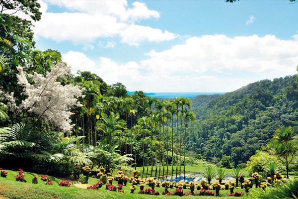 Iles Grenadines : Combiné hôtels Antilles Pain de Sucre