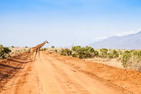 Kenya : Combiné circuit et hôtel Diani Sea Resort avec1 n safari Tsavo Est