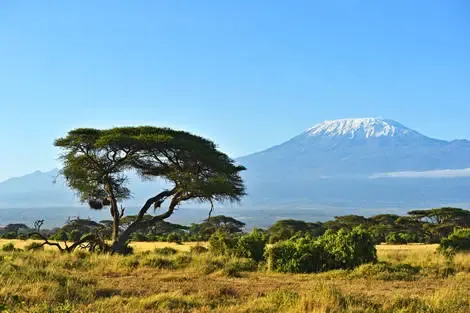 Kenya : Fram Selection Barracuda 4* avec 3 nuits Tsavo Est/Ouest et Amboséli