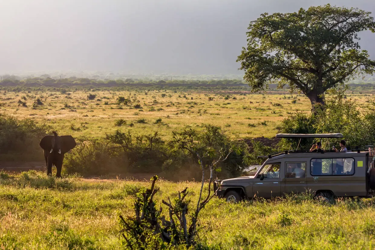 Kenya : Combiné circuit et hôtel Jacaranda Indian Ocean Beach Resort 4* avec 2 nuits Tsavo Est/Ouest