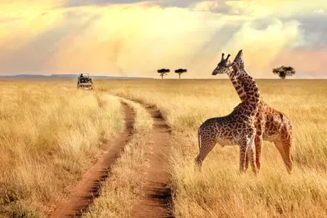 vol+hotel Combiné Jacaranda Indian Ocean Beach Resort 4* avec 2 nuits Tsavo Est/Ouest Kenya Mombasa