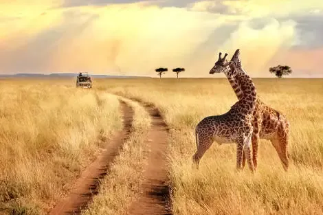 Kenya : Combiné circuit et hôtel Jacaranda Indian Ocean Beach Resort 4* avec 2 nuits Tsavo Est/Ouest