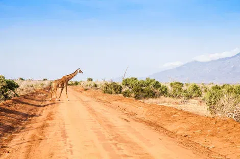 vol+hotel Combiné Papillon Lagoon Reef 3* avec 1 nuit Tsavo est Kenya Mombasa