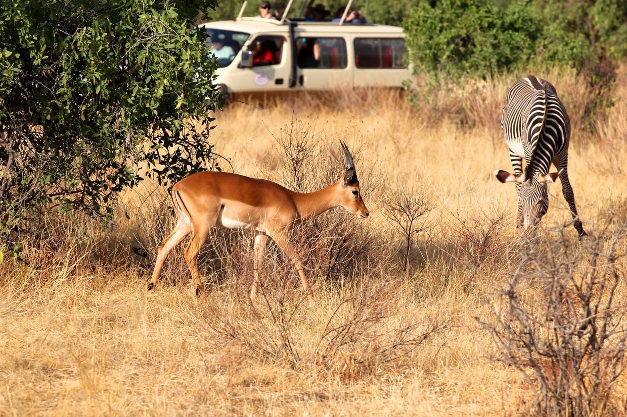 Kenya : Combiné circuit et hôtel Visiwa Beach Resort 5* avec 1 nuit Tsavo Est