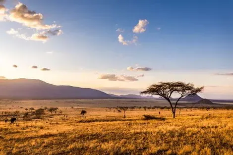 Kenya : Combiné circuit et hôtel Merveilles du Kenya Mara & Balnéaire Plage de Diani - Limité à 6 pers./véhicule