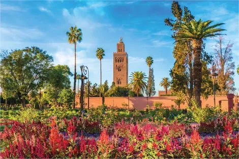 Maroc : Combiné circuit et hôtel Grand Sud Maroc et Extension Iberostar Palmeraie