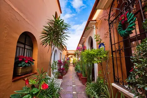 Mexique : Combiné circuit et hôtel Couleurs mexicaines + extension Framissima Évasion Tulum Riviera
