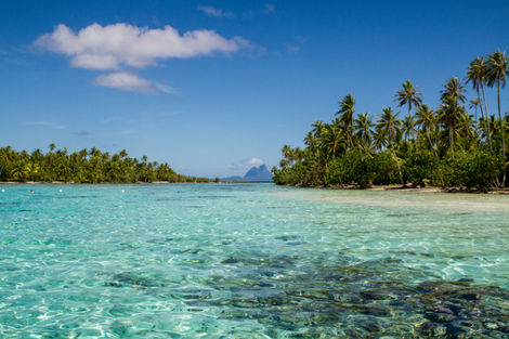 Polynesie Francaise-Papeete, Combiné hôtels 4 îles : Tahiti - Moorea - Raiatea - Bora Bora