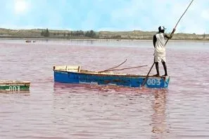 Senegal-Dakar, Combiné circuit et hôtel COMBINE "PLAGES, CULTURE & TRADITIONS" avec extension au Bougainvillées 4*