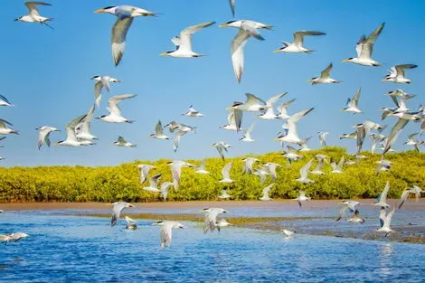 vol+hotel Combiné Les Oasis du Sénégal + Extension 7 Nuits Framissima Palm Beach 4* Senegal Dakar