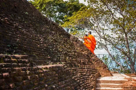 Sri Lanka : Combiné circuit et hôtel Cœur de Ceylan 3* & plage du Framissima Evasion Ifuru Island Maldives