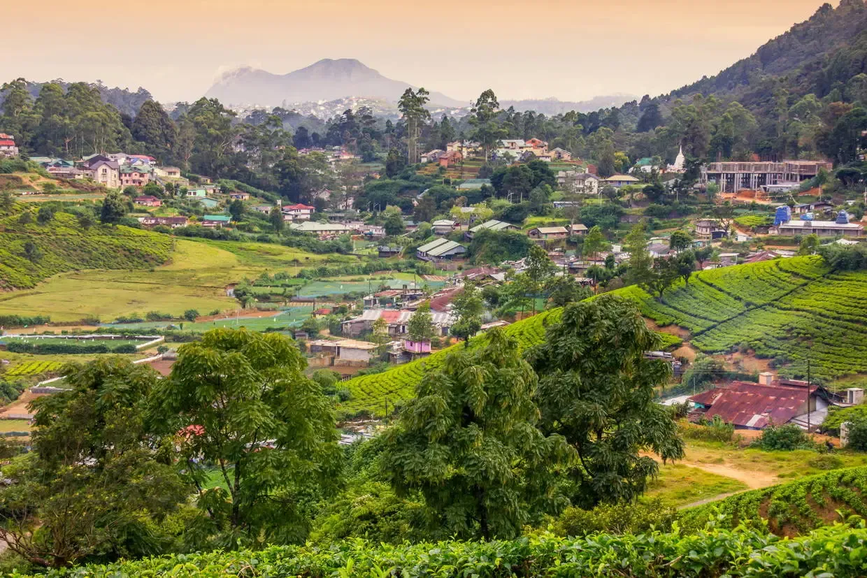 Sri Lanka : Combiné circuit et hôtel Cœur de Ceylan 3* & plage du Fram Sélection Riu Sri Lanka