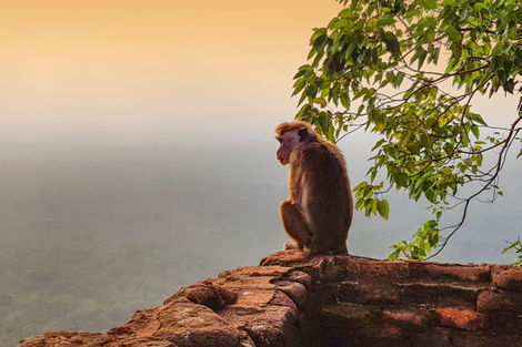 vol+hotel Combiné Simplement Sri Lanka + extension Framissima Heritance Ahungalla 5* Sri Lanka Colombo