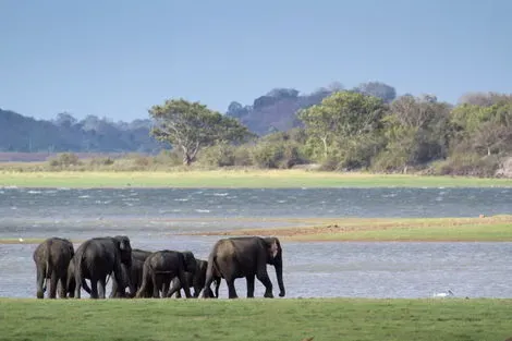 vol+hotel Combiné Royaume de Ceylan (collectif) & plage au Framissima Heritance Ahungalla 5* Sri Lanka Colombo