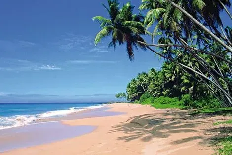 Sri Lanka-Colombo, Combiné circuit et hôtel L'ile Merveilleuse 3* & 4* + Extension The Palms