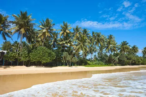 Sri Lanka-Colombo, Combiné circuit et hôtel Sri Lanka Authentique 3* + Maldives au Biyadhoo 3*