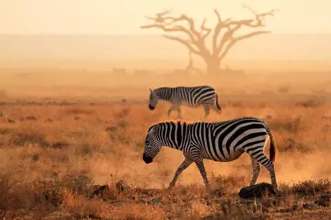 Tanzanie : Fram Selection Pongwe Bay Resort 5* avec 2 nuits au Parc de Selous