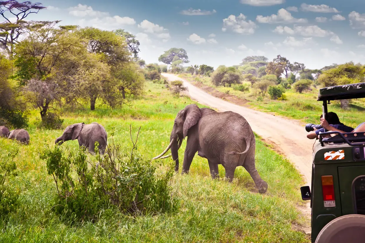 Tanzanie : Combiné circuit et hôtel Mambo Ocean Resort 4* avec 2 nuits au parc de Selous