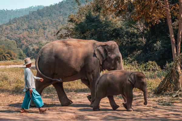 Thailande : Combiné circuit et hôtel Trésors de Thaïlande et Hua Hin