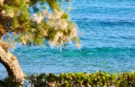 Crète : Hôtel Alexander Beach Hotel & Village