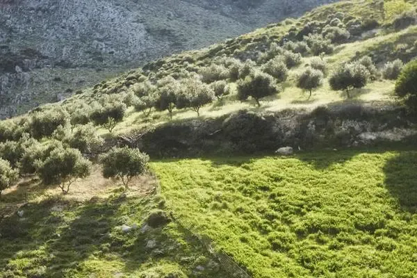 Crète : Hôtel Earino