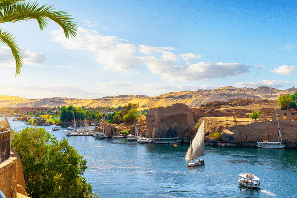 Egypte : Croisière Au Pays des Pharaons : Du Nil au Caire