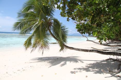Seychelles-Praslin, Croisière Sisters Dream