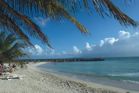 Guadeloupe-Pointe A Pitre, Croisière Dream Guadeloupe