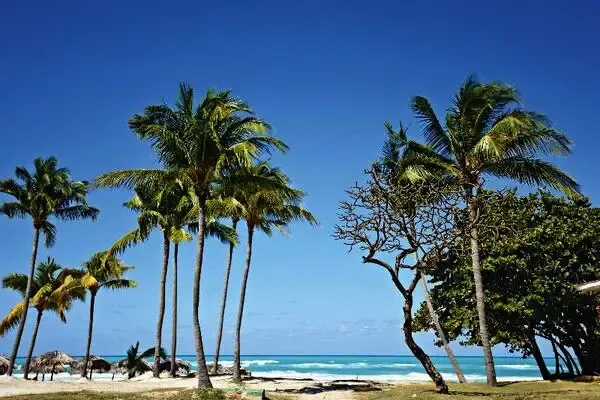 Cuba : Hôtel Starfish Cuatro Palmas